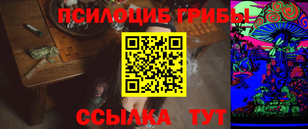 Звенигород  Псилоцибиновые грибы Cubensis  Псилоцибиновые грибы ЛСД  Вход с VPN 