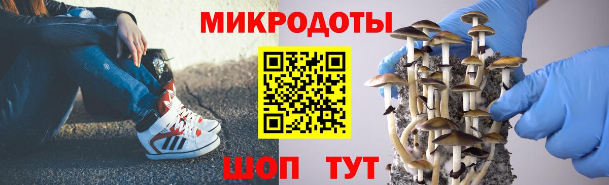 Псилоцибиновые грибы MAGIC MUSHROOMS Звенигород